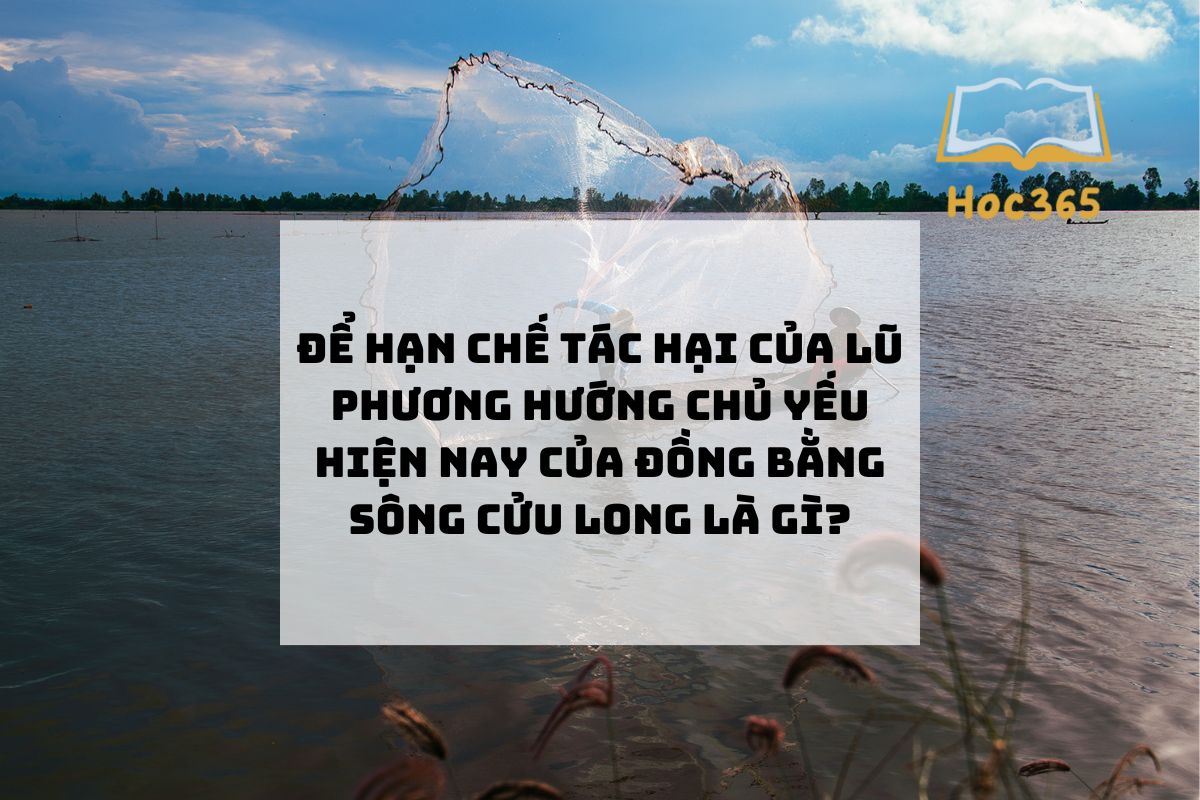 Để hạn tạo nên sợ hãi của lũ phương phía đa số lúc này của Đồng bởi vì sông Cửu Long là gì