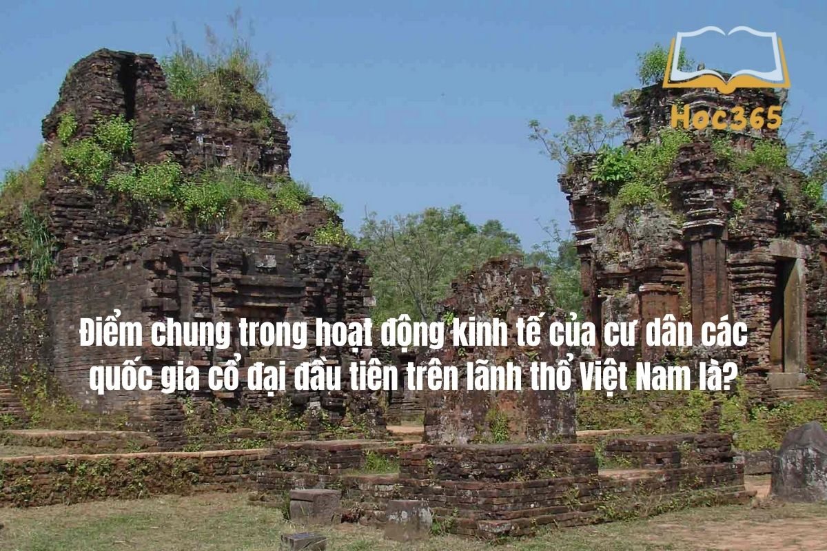 Điểm Chung Trong Hoạt động Kinh Tế Của Cư Dân Các Quốc Gia Cổ đại đầu Tiên Trên Lãnh Thổ Việt