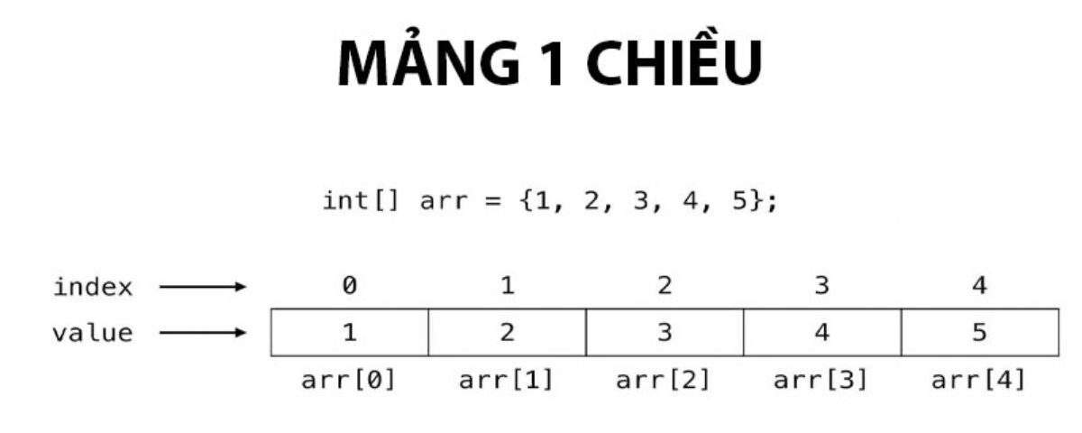 Tham chiếu phần tử mảng 1 chiều