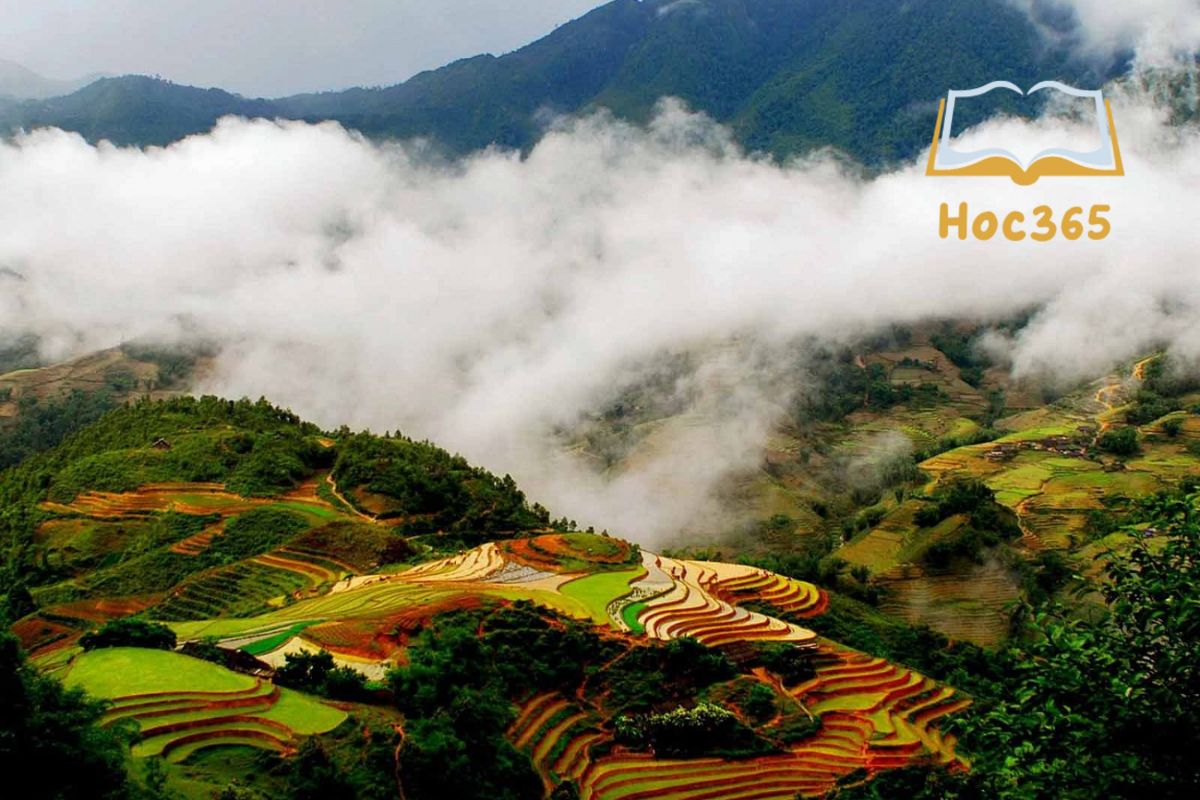 Tại sao cồn núi là phần tử cần thiết nhất của cấu hình địa hình Việt Nam