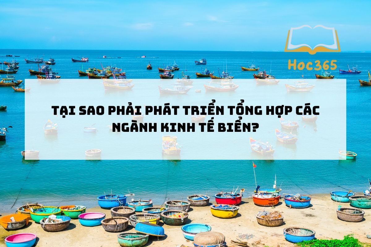 Tại sao phải phát triển tổng hợp các ngành kinh tế biển?