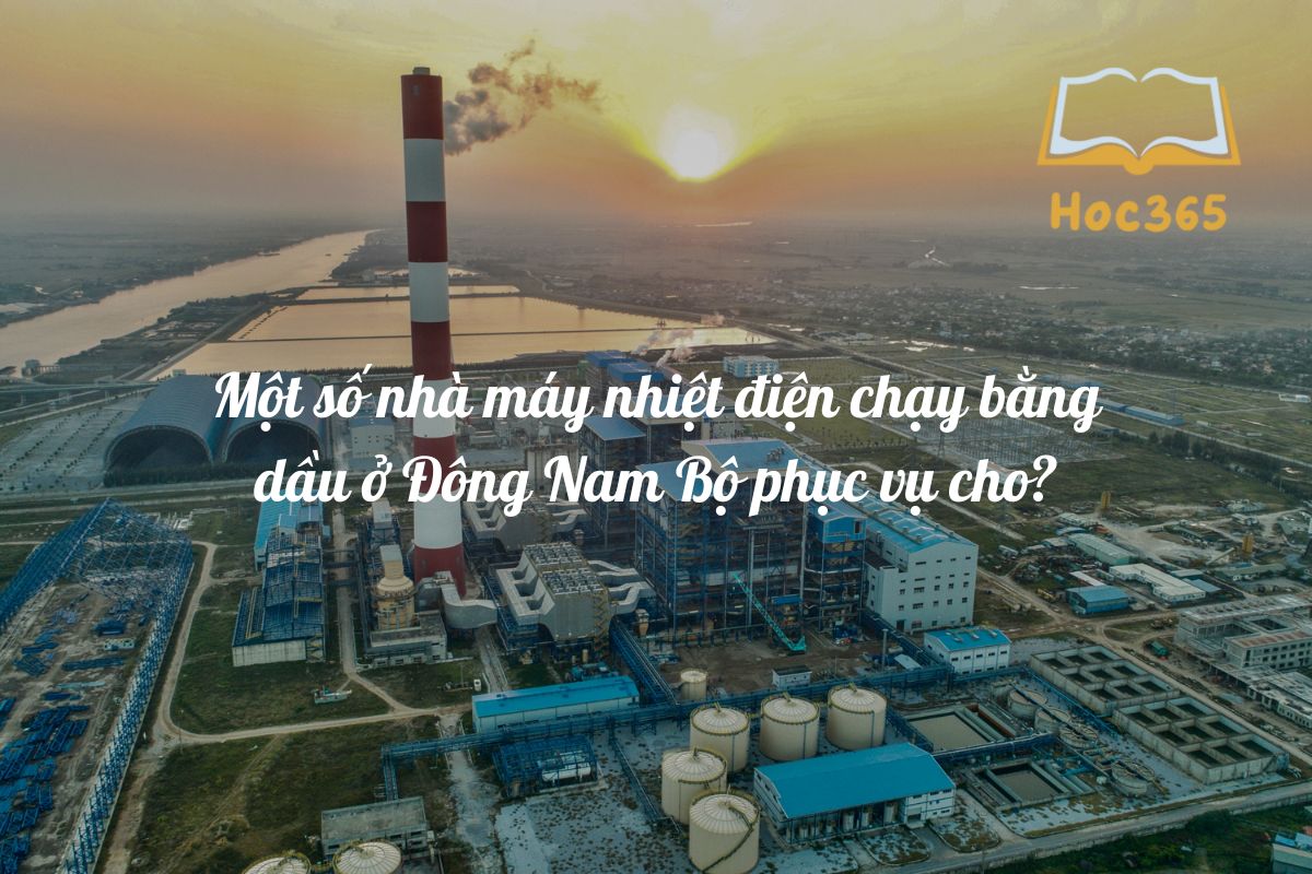 Một số xí nghiệp sản xuất nhiệt độ năng lượng điện chạy tự dầu ở Đông Nam Sở đáp ứng cho?