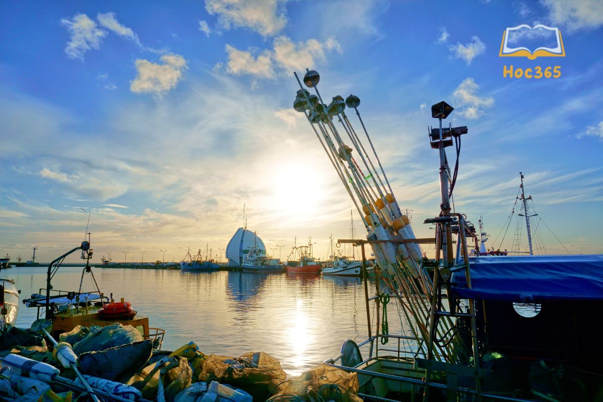 mục đích hầu hết của việc upgrade những cảng biển lớn ở Duyên hải Nam Trung Sở là