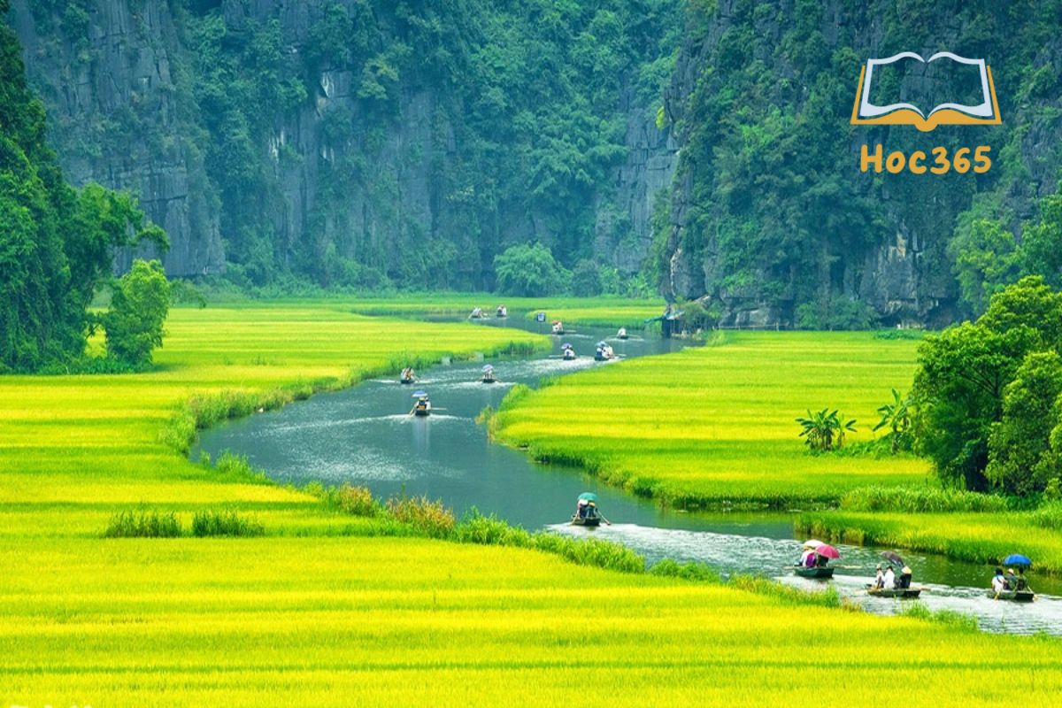 Tại sao khoáng sản nước ở Đồng vì chưng sông Hồng phong phú